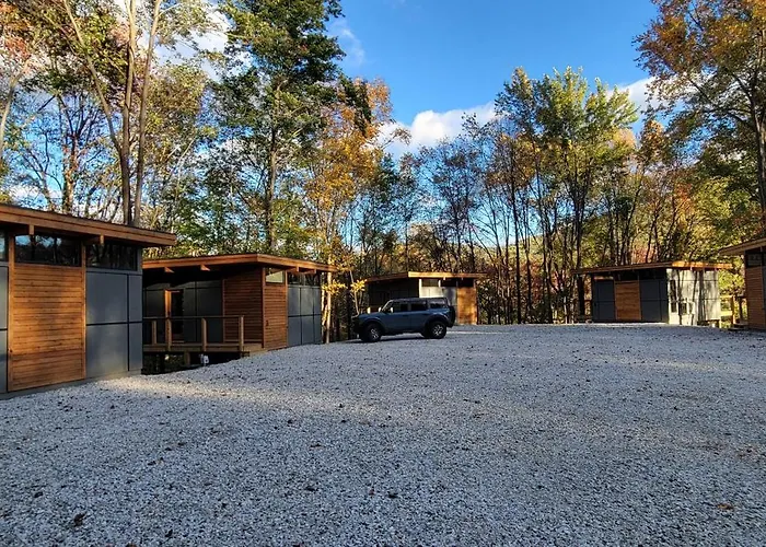 Piedmont Grove